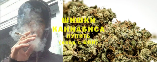 бутират Белокуриха