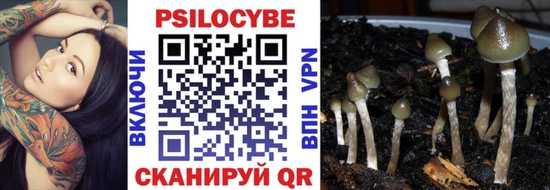 omg вход  Реутов  Псилоцибиновые грибы мухоморы  закладки 