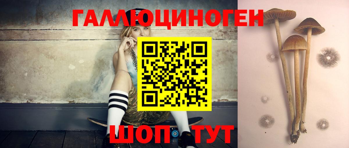 Реутов  магазин продажи наркотиков  Вход с VPN  Галлюциногенные грибы Cubensis 